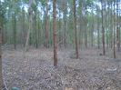 PA_1506_1_1001