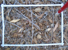 PA_1506_1_1004c