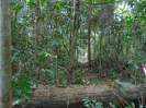 PA_1506_2_1006
