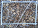 PA_1506_3_1013b