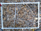 PA_1506_4_1017a