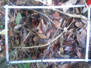 PA_1507_1_086c
