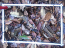 PA_1507_1_087d