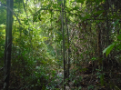 PA_1507_3_037
