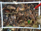 PA_1507_3_038b