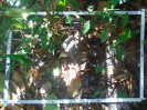 PA_1507_3_039a