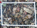 PA_1507_4_046d