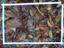 PA_1508_1_66c