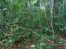 PA_1508_2_68