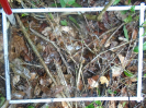 PA_1508_2_69a