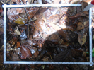 PA_1508_2_71c