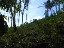 PA_1548_1_45