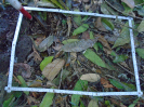 PA_1548_1_46a