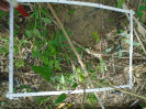 PA_1548_1_49d