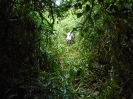 PA_1548_2_50