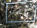 PA_1548_2_52b