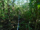 PA_1548_3_55