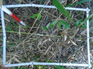 PA_1548_3_56a