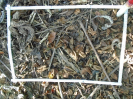 PA_1548_3_58c