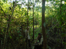 PA_1548_4_60