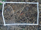 PA_1548_4_61a
