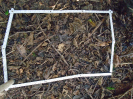 PA_1548_4_62b