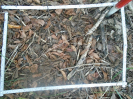 PA_1548_4_63c