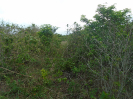 PA_1550_3_718