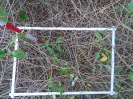 PA_1550_4_729a