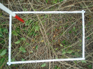 PA_1550_4_733d