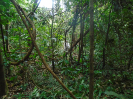 PA_1551_1_62