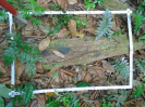 PA_1551_1_63a