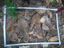 PA_1551_1_65c