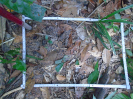 PA_1551_1_66d