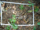 PA_1551_2_58a
