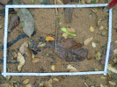 PA_1551_2_60c