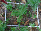 PA_1551_2_61d