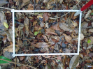 PA_1552_1_854b