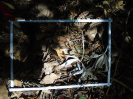 PA_1552_1_856d