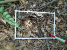 PA_1552_2_858a
