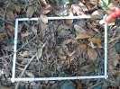PA_1552_2_860c