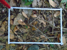 PA_1552_2_861d