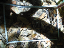 PA_1555_3_831b