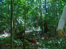 PA_1555_4_834