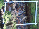 PA_1555_4_835a