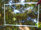 PA_1555_4_836b