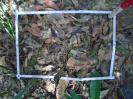 PA_1555_4_837c