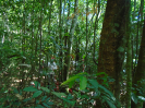 PA_1557_0_605
