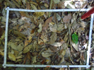 PA_1557_1_609c