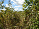 PA_1557_2_611